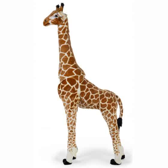 CC Giraffe2