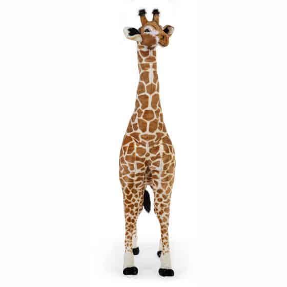 CC Giraffe3